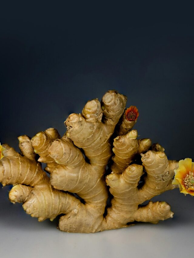A dramatic still life of ginger root adorned with colorful flowers.