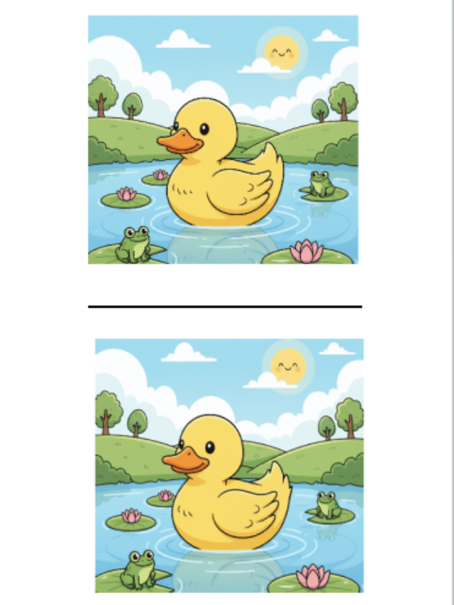 cropped-diff-image-1.png