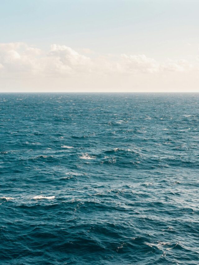 Tranquil ocean view under a clear sky, capturing the serene beauty of the expansive water.