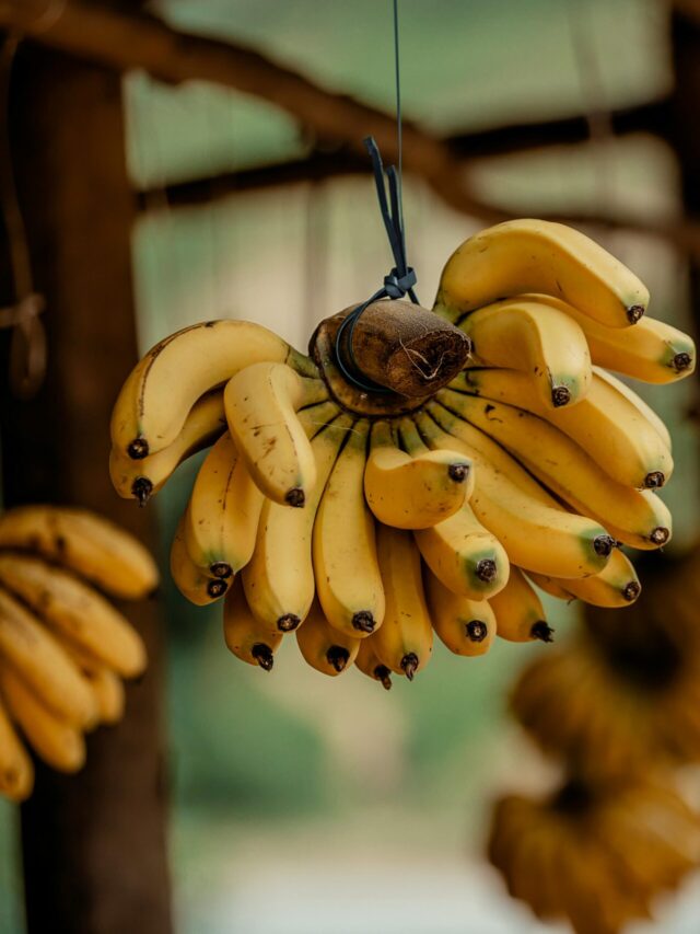 आपको यकीन नहीं होगा, लेकिन इस फल में कभी नहीं लगते कीड़े